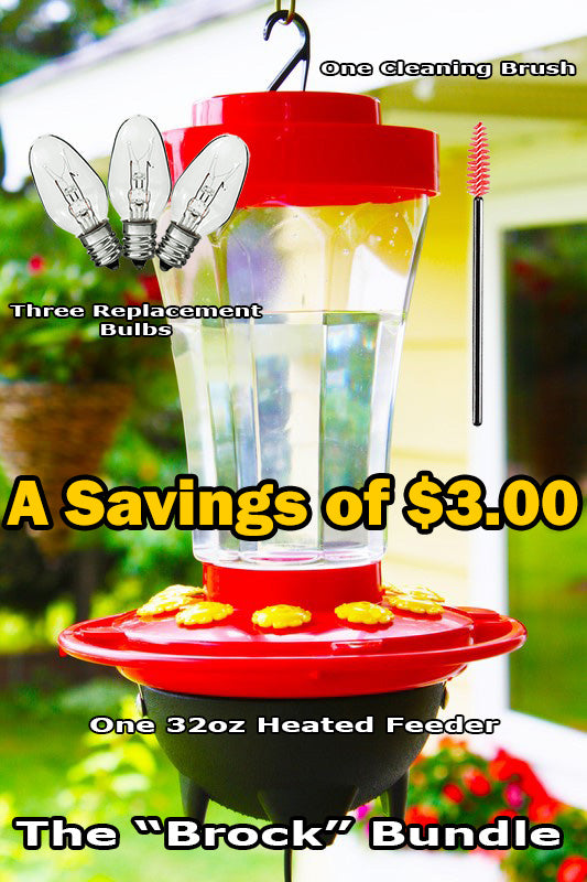 32 oz. Heated Hummingbird Feeder "Brock" Bundle