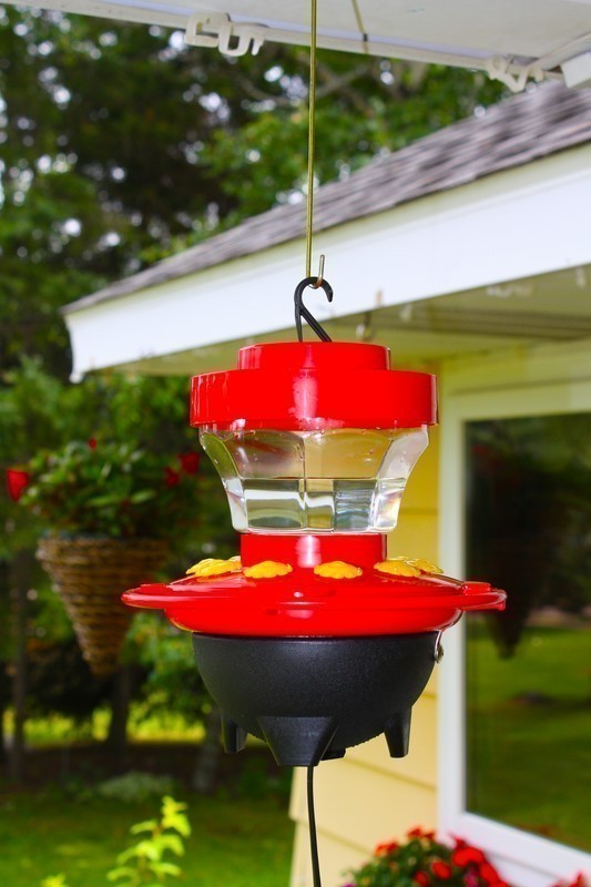 16 oz. Heated Hummingbird Feeder